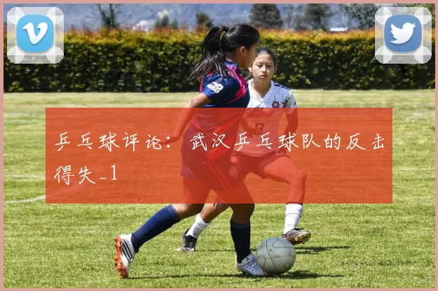乒乓球评论：武汉乒乓球队的反击得失_1